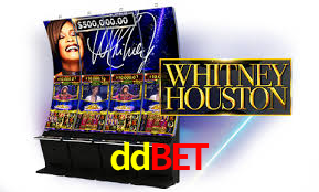 Premium Interface ddbet
