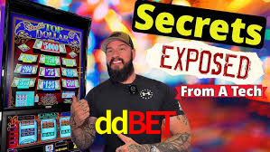 ddbet,ddbet.com